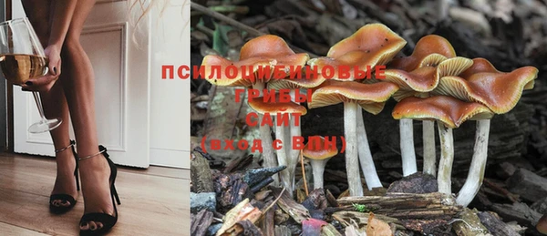 первитин Абдулино