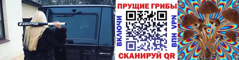 кракен ONION  где купить наркоту  Нерчинск  Галлюциногенные грибы Psilocybe 