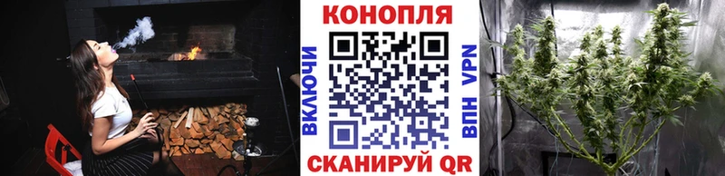 Канабис семена  Нерчинск 